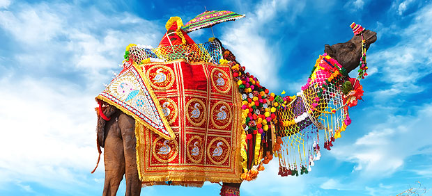 India’s Pushkar Camel Fair