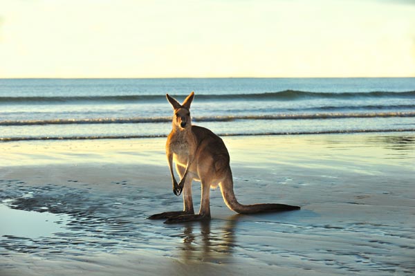 Australia